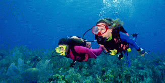 39,90€ από 70€ για μία κατάδυση γνωριμίας Scuba Diving με αυτόνομη συσκευή κατάδυσης σε ολιγομελή τμήματα & υπέροχη υποβρύχια φωτογράφηση με την Σχολή Κατάδυσης Dive Blue Dream στα Λιμανάκια Βάρκιζας.