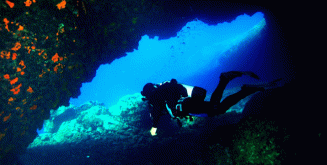 39,90€ από 70€ για μία κατάδυση γνωριμίας Scuba Diving με αυτόνομη συσκευή κατάδυσης σε ολιγομελή τμήματα & υπέροχη υποβρύχια φωτογράφηση με την Σχολή Κατάδυσης Dive Blue Dream στα Λιμανάκια Βάρκιζας.